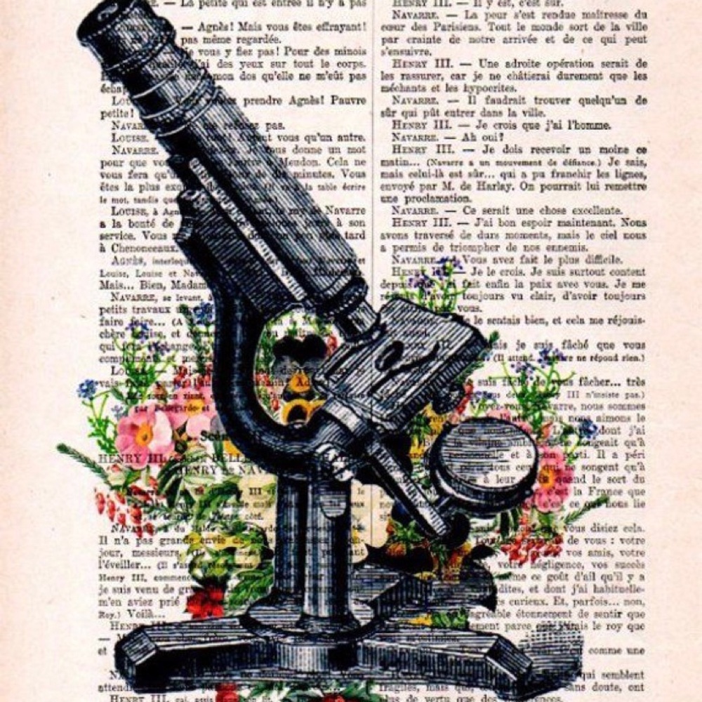 Meet your Posher, Rieland